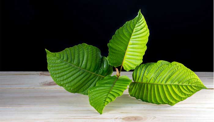 Kratom merchant accounts by Instabill