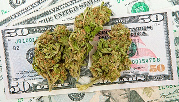Marijuana Schools Teach Growing, Selling, Investing